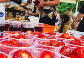 osrodekwkorzkwi-pikniki-i-wydarzenia-09